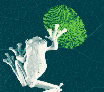Scaling corporate accountability for nature